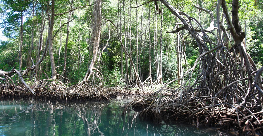 Escapada a Samaná